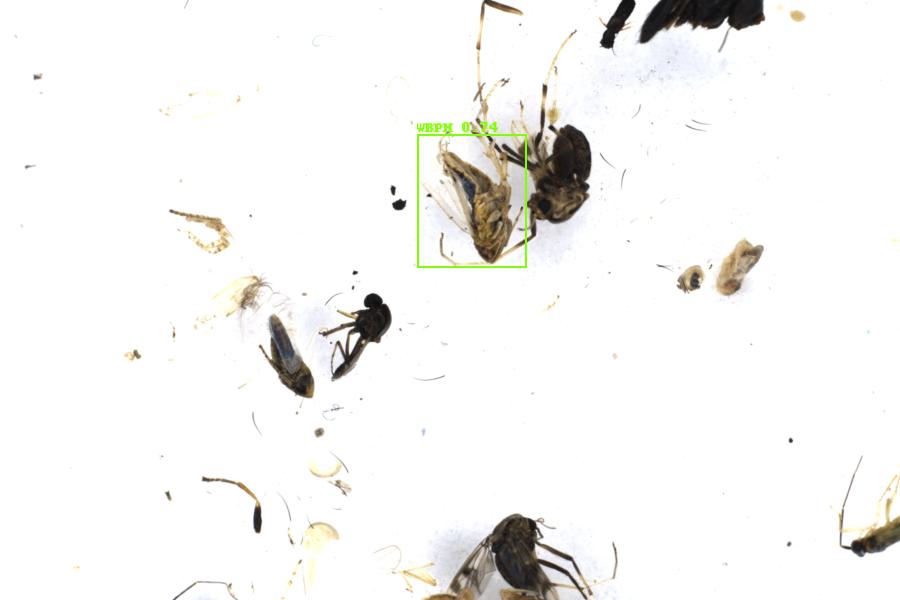 Image 37